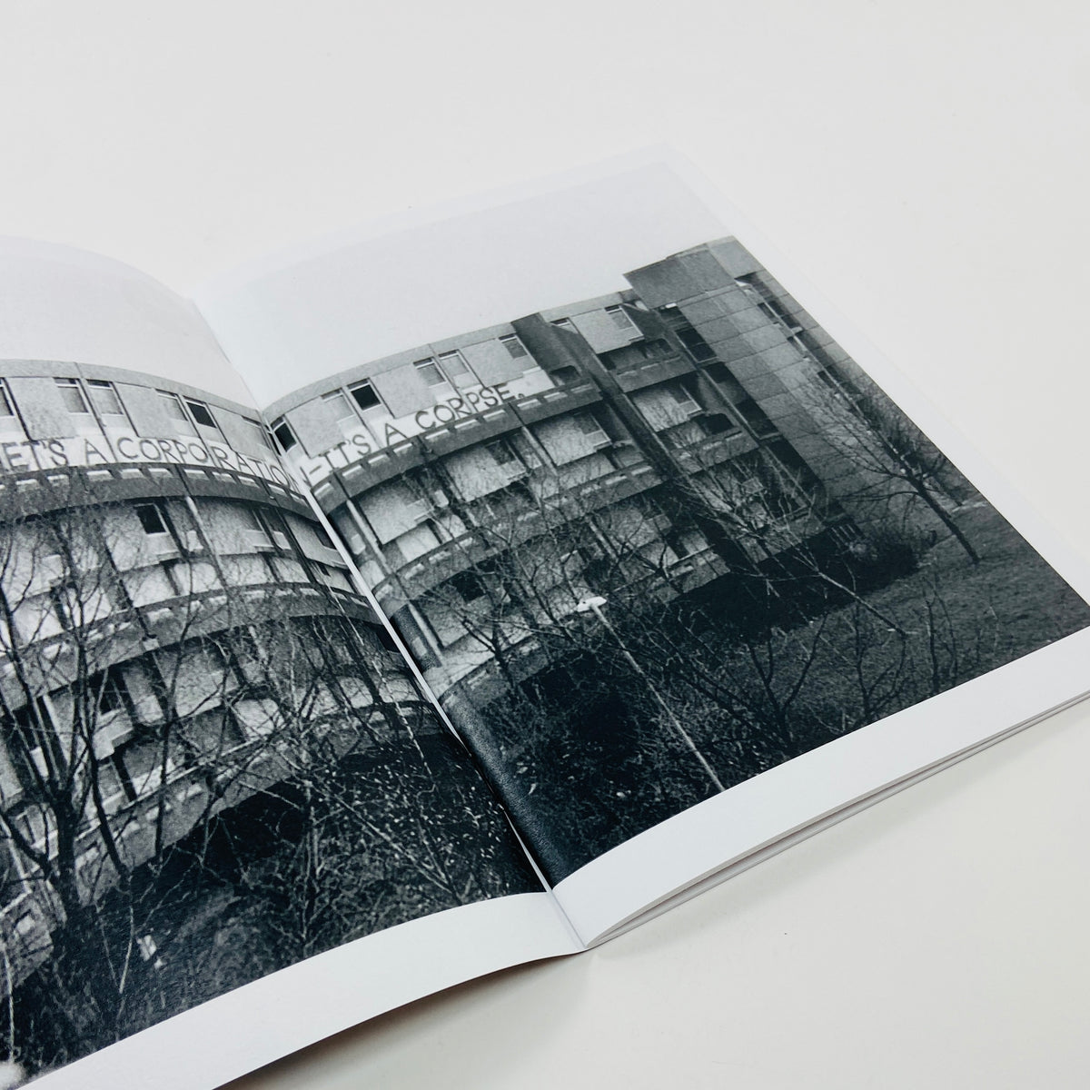 Hulme 1993 - Anne Worthington