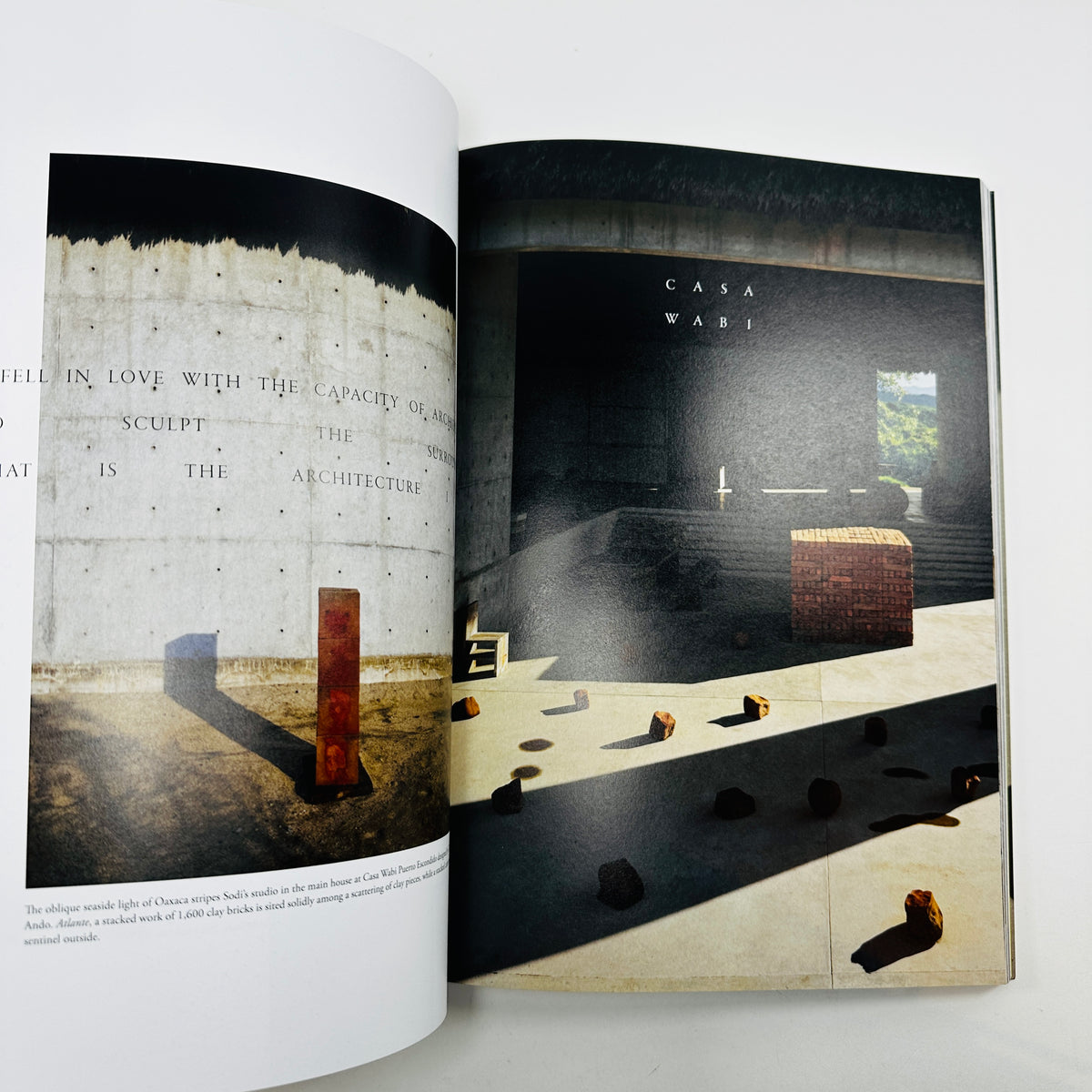 Ark Journal #14 - Recollections