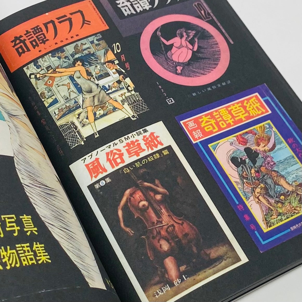 BDSM Magazines from Japan (1950-2010)