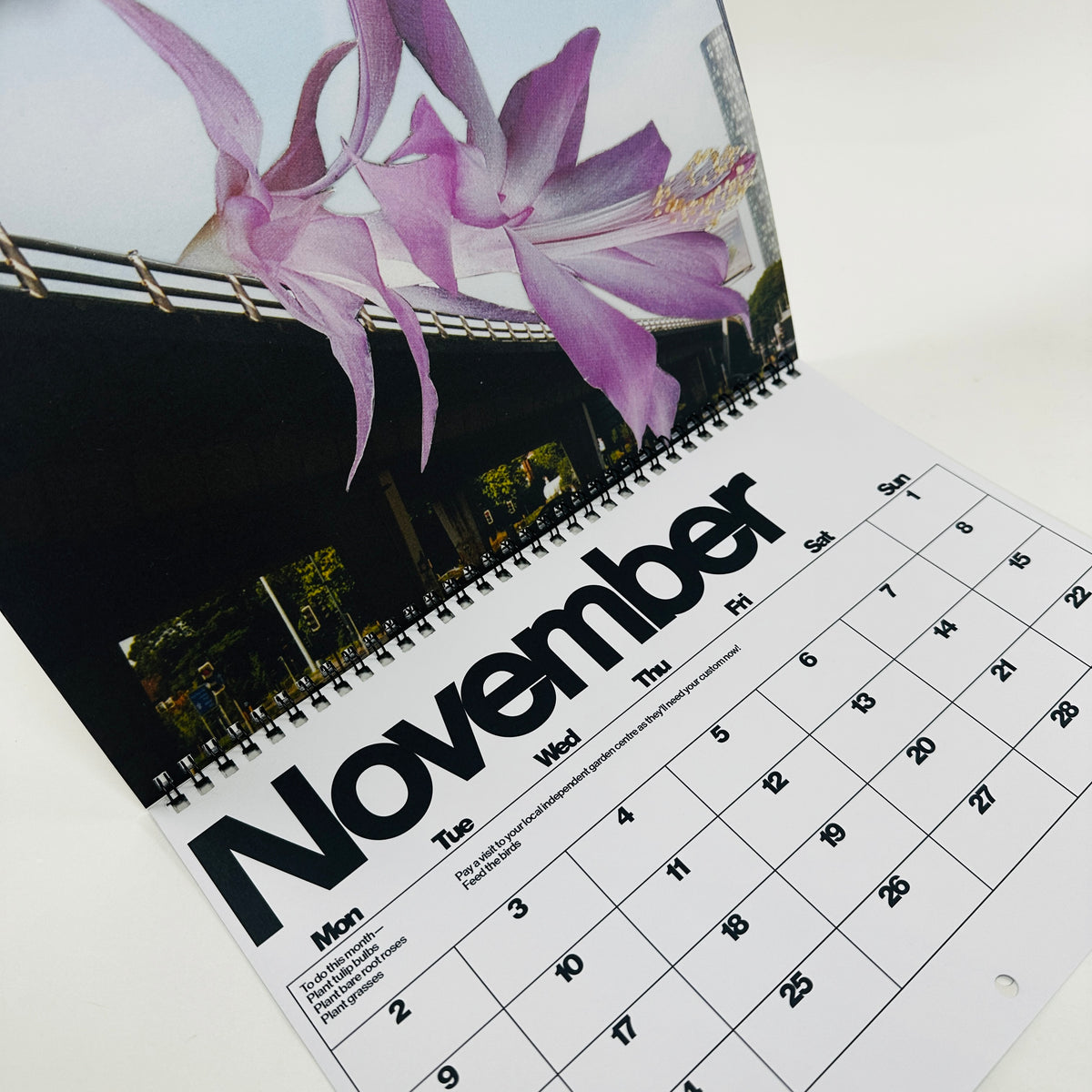 Brutalist Botany - 2026 Calendar