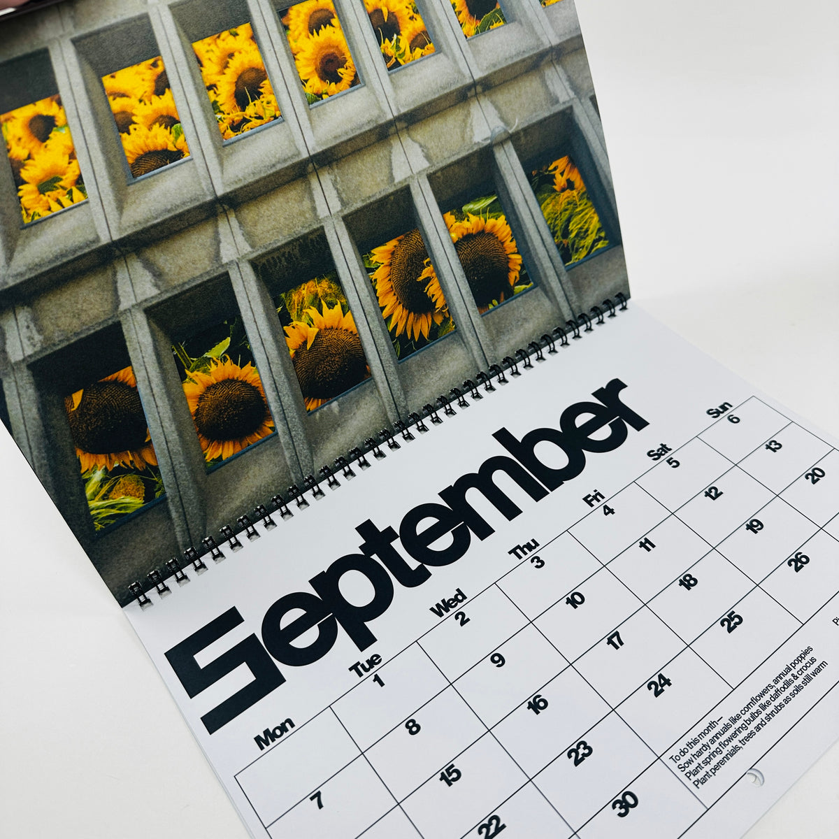 Brutalist Botany - 2026 Calendar