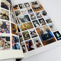 Catnip #1 - A Magazine For Cat People