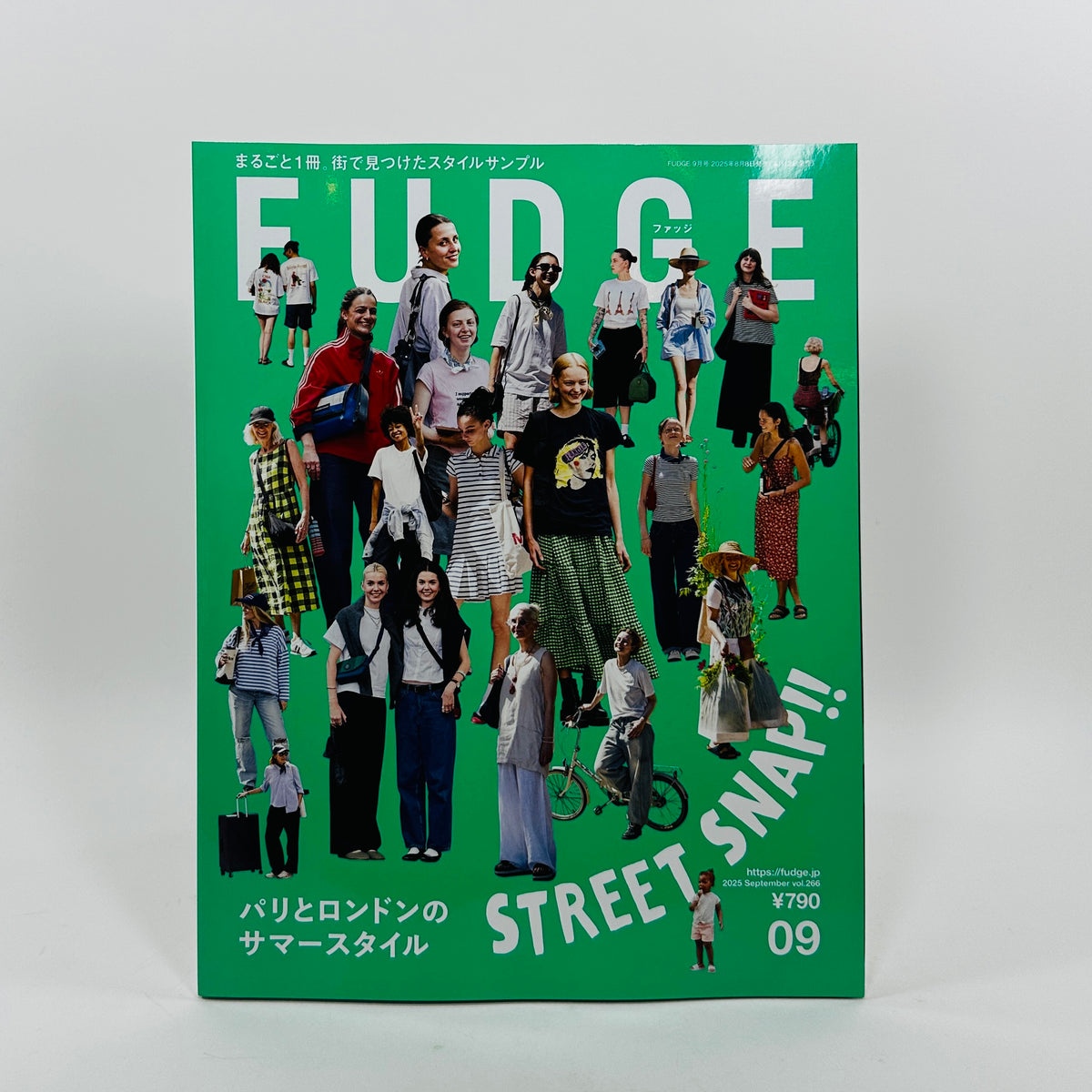 Fudge #266 -  Street Snap