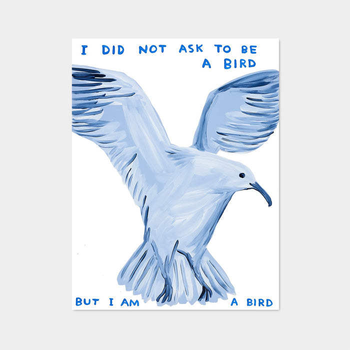 I Did Not Ask To Be a Bird - David Shrigley Poster