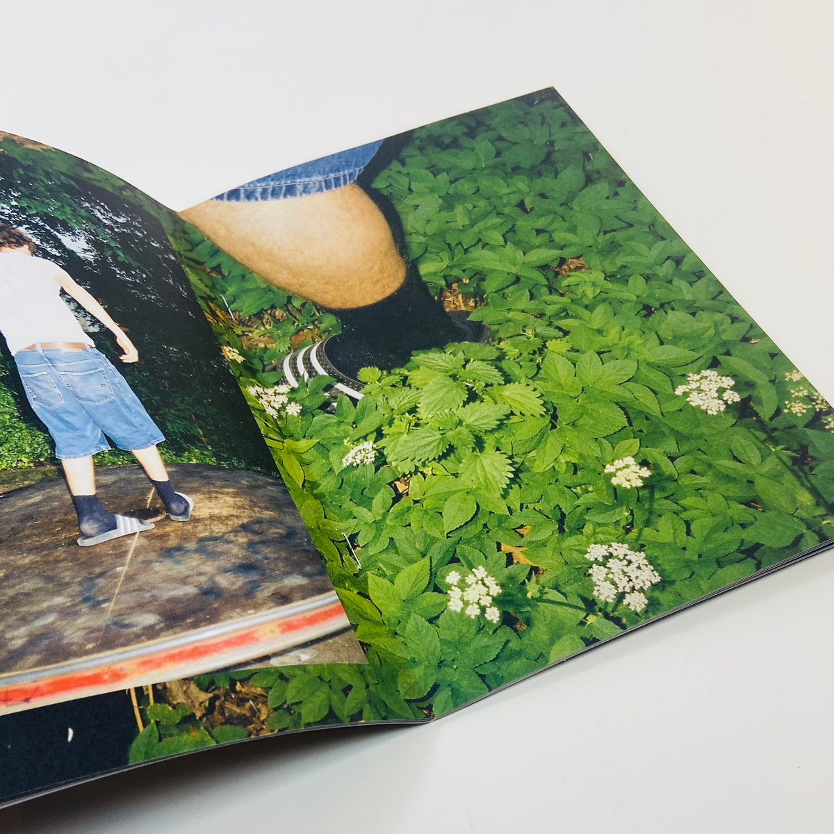 Leander Lauri - Hamburgs Lieblinge