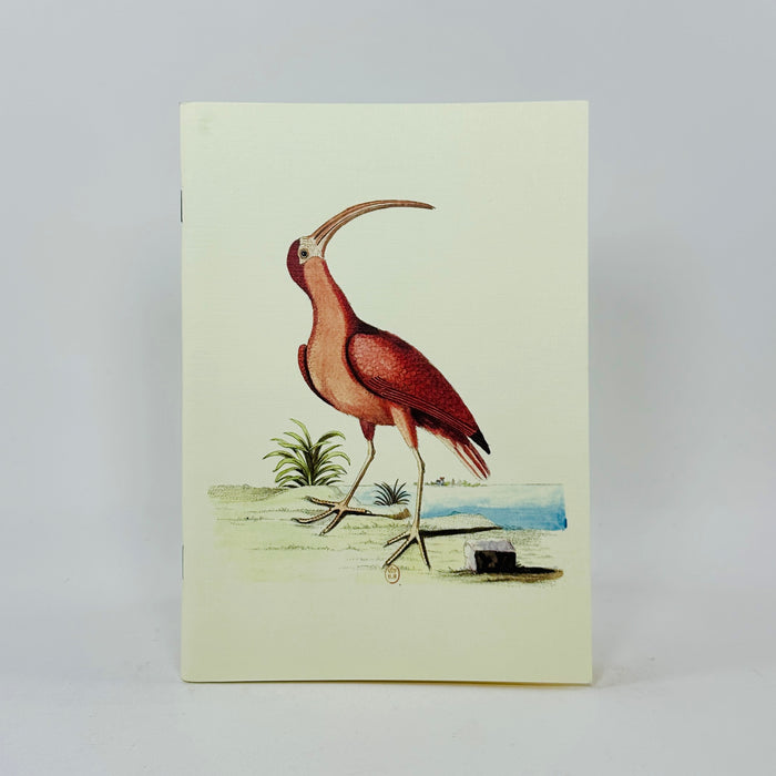 Collection of Various Birds Notebook