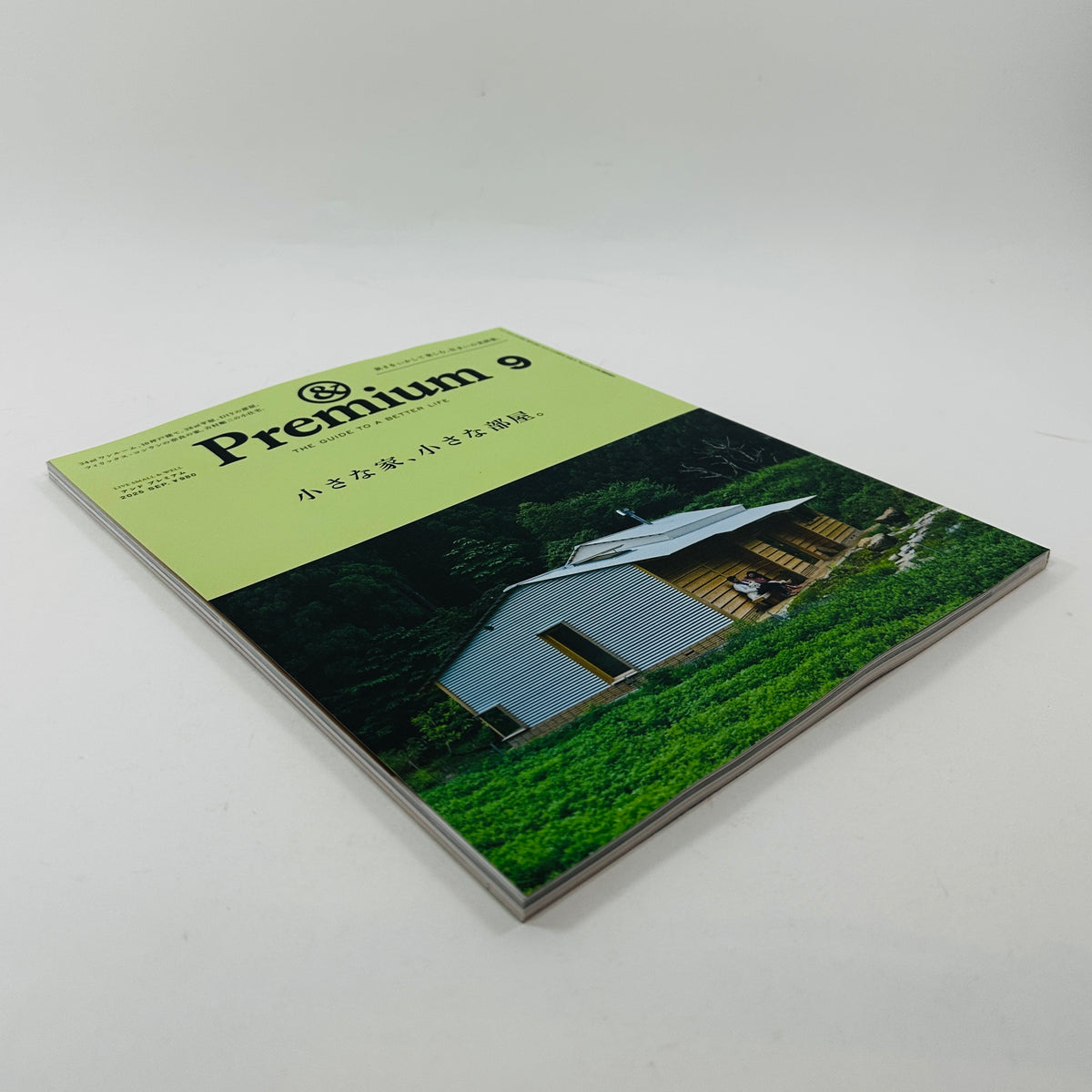 &Premium #141 - Live Small and Well