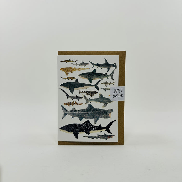 Sharks - James Barker Card