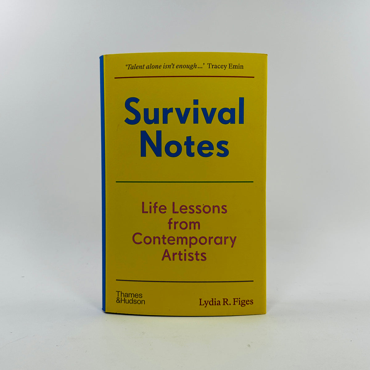 Survival Notes - Life Lessons from Contemporary Artists