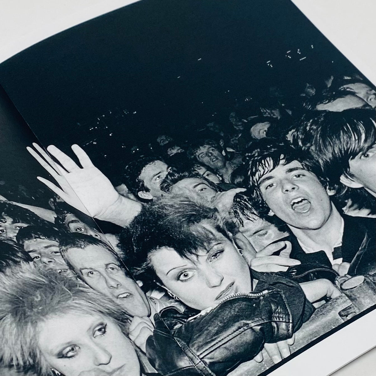 Punks 1979–1983 - Virginia Turbett