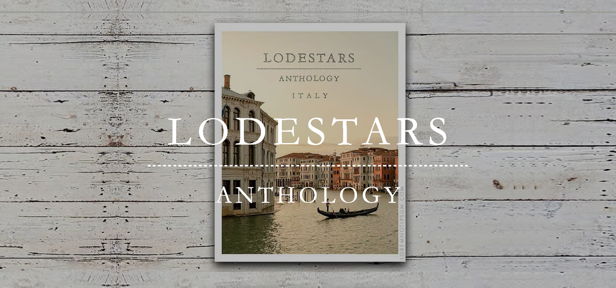 In Conversation with... Lodestars Anthology Editor Liz Schaffer