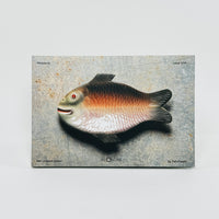 99 Objects #9 - Fish-Shaped Plates