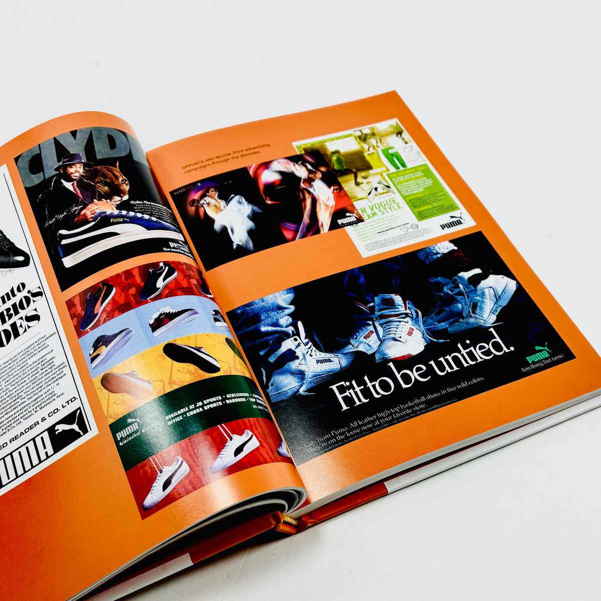 A Pocket Guide to Puma