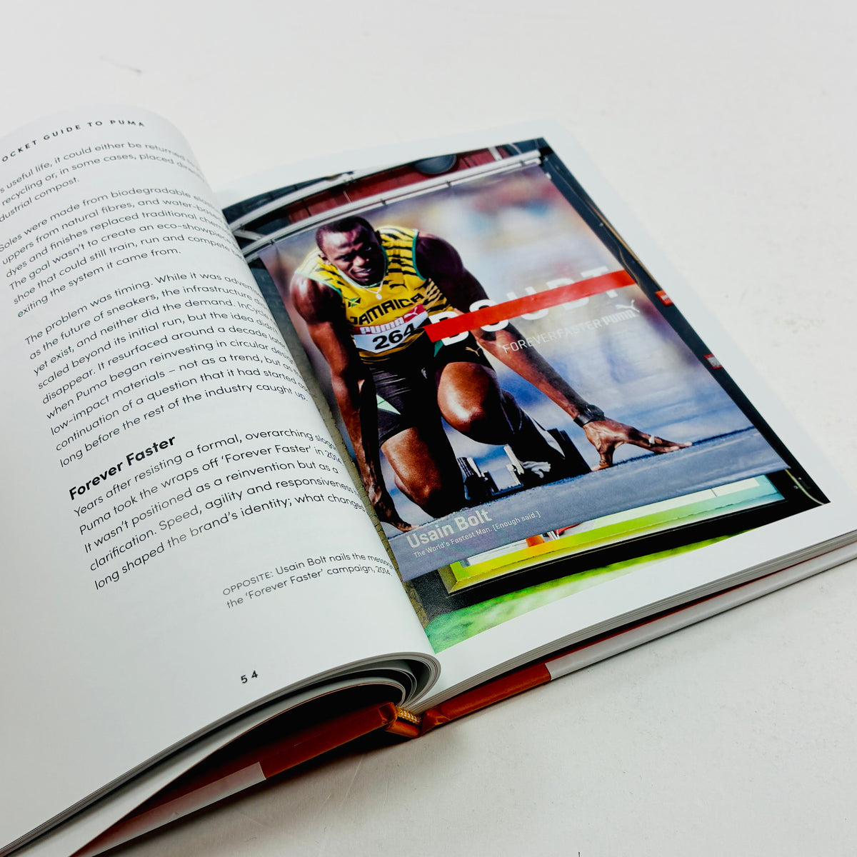 A Pocket Guide to Puma
