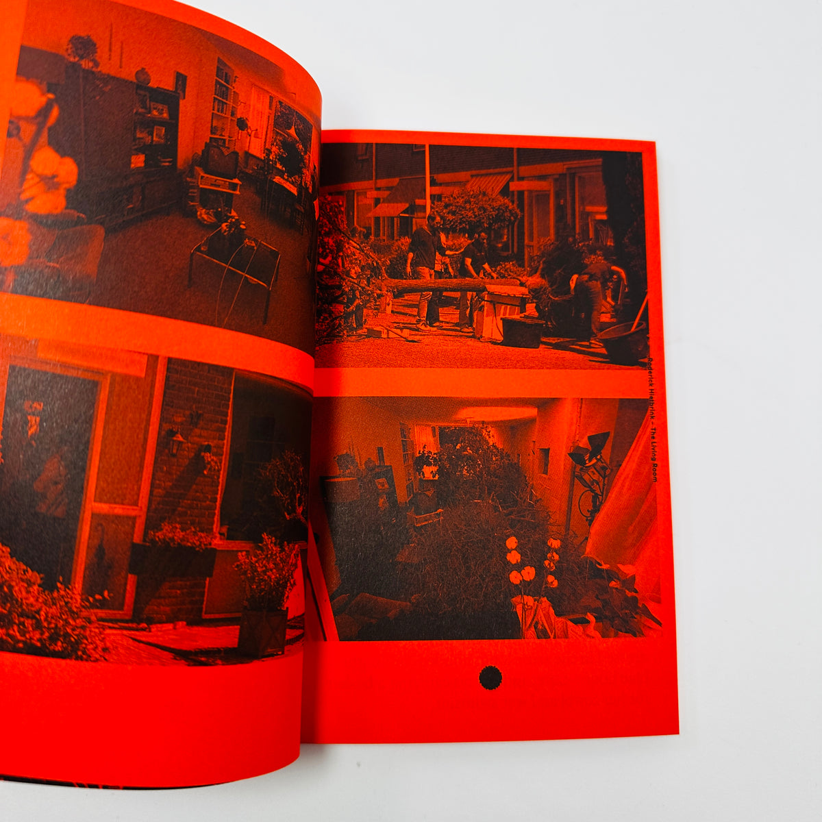 A Tree - A Reader on Arboreal Kinship