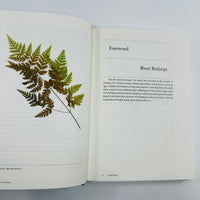 A Work in Progress - A Journal