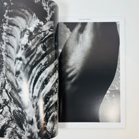 Amateurs #4 - An Outdoor Magazine