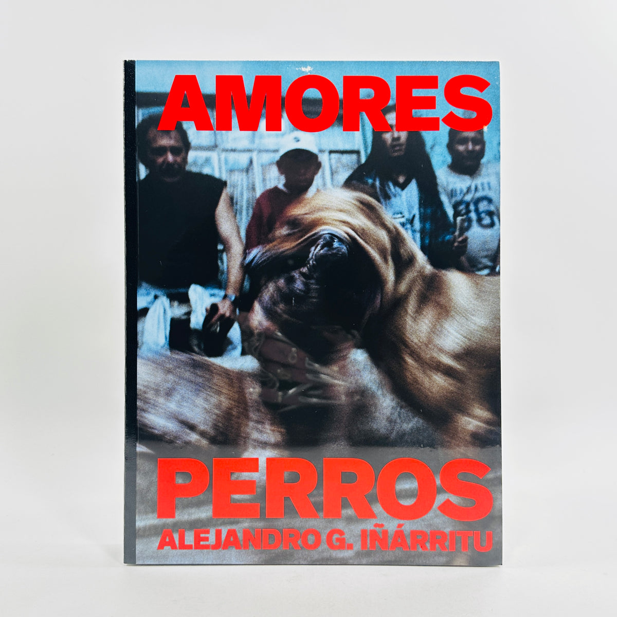 Amores Perros - Alejandro G. Iñárritu
