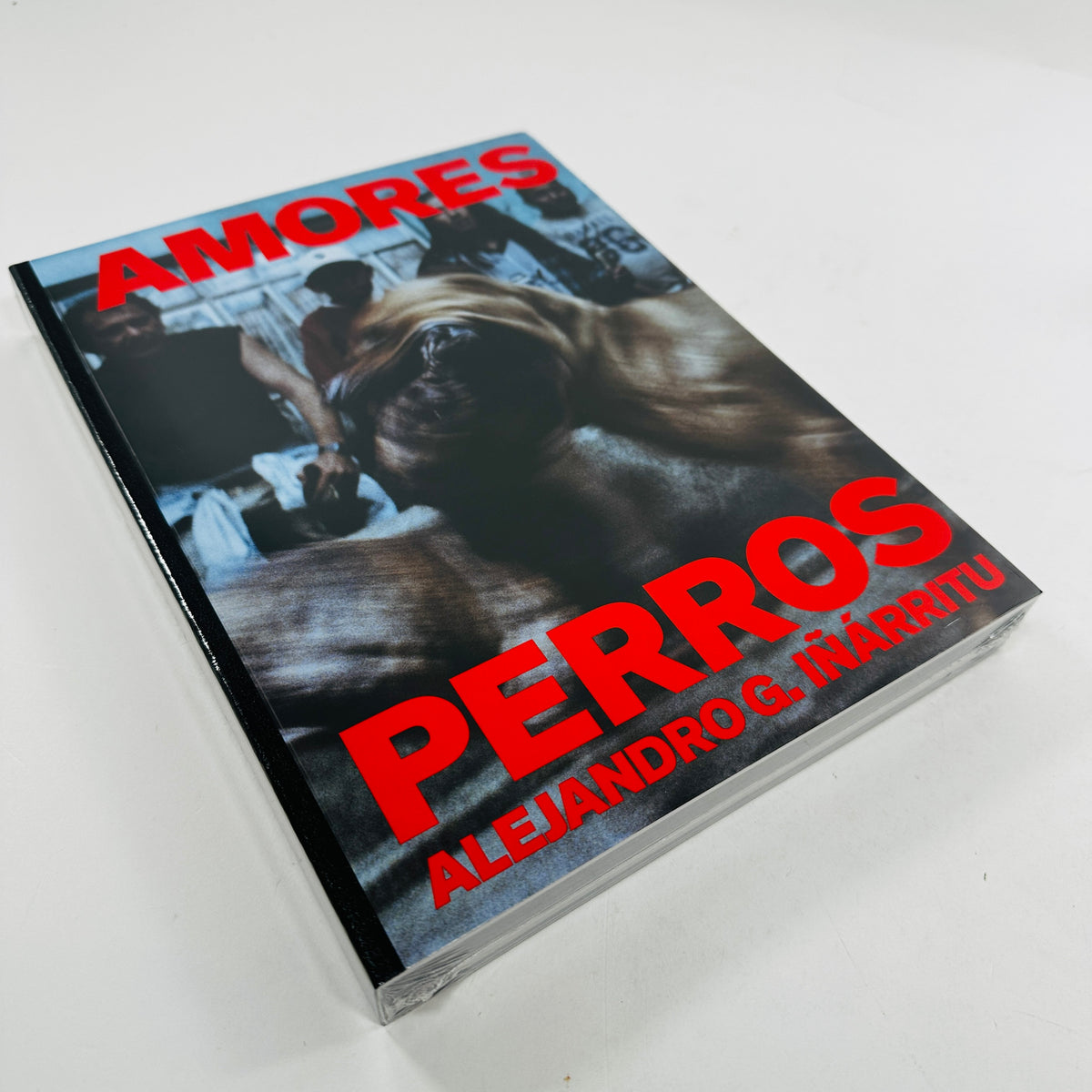 Amores Perros - Alejandro G. Iñárritu