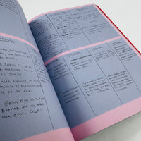 Amores Perros - Alejandro G. Iñárritu