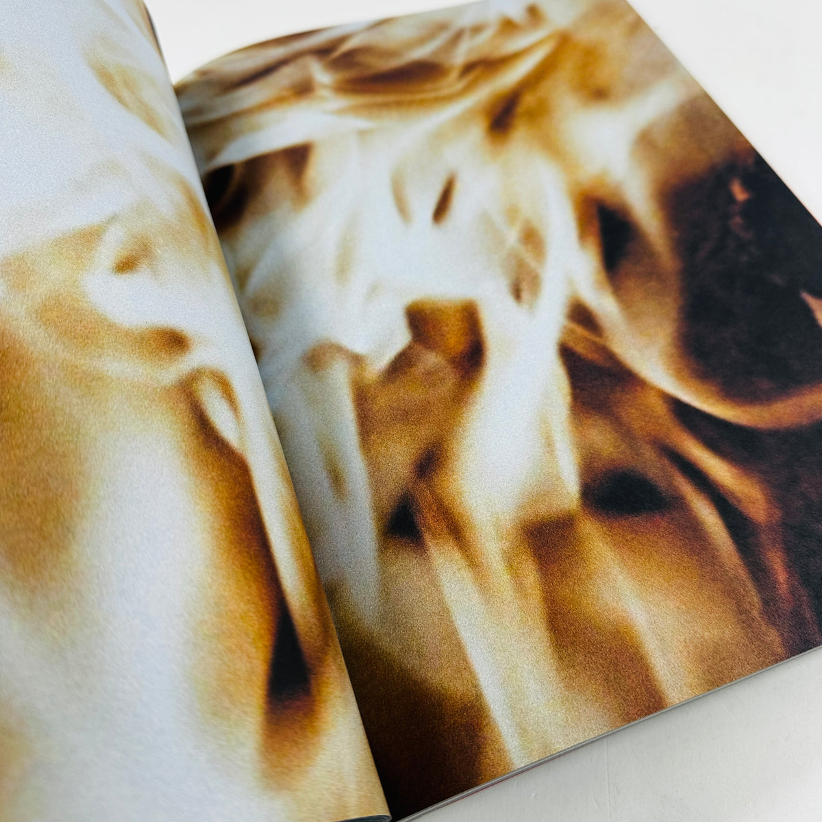 Amores Perros - Alejandro G. Iñárritu