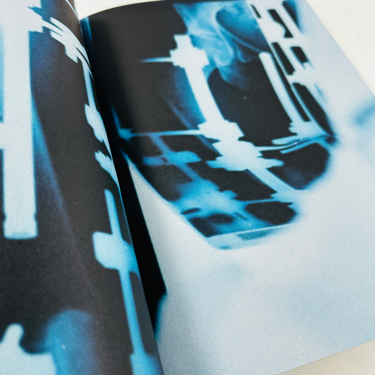 Amores Perros - Alejandro G. Iñárritu