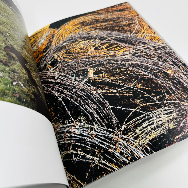 Andy Goldsworthy - Fifty Years