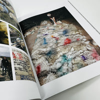 Andy Goldsworthy - Fifty Years