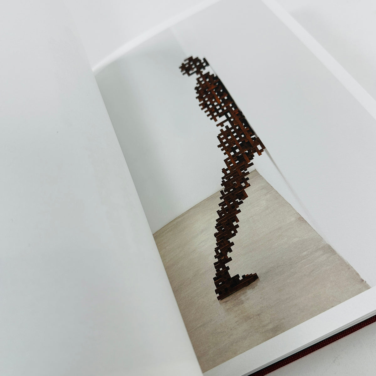Antony Gormley - Body Buildings