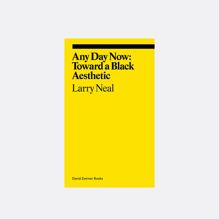 Any Day Now - Toward a Black Aesthetic (Ekphrasis Collection)