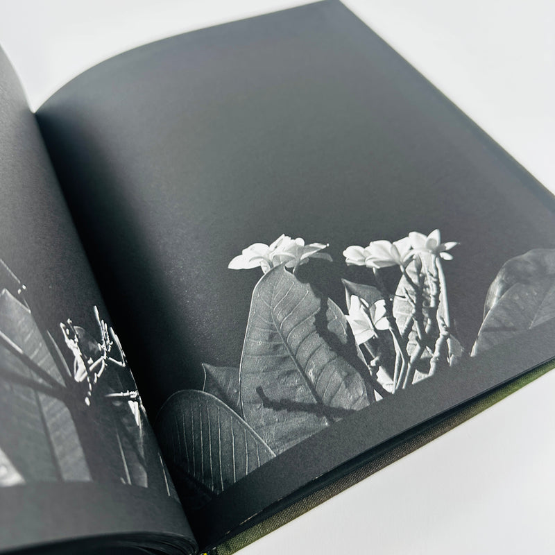 Aprictiy - Jamie Png