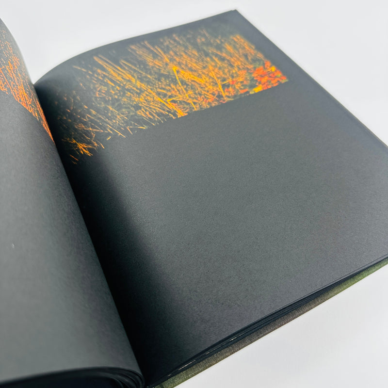 Aprictiy - Jamie Png