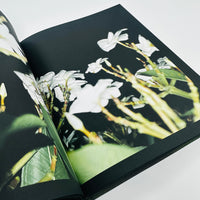 Aprictiy - Jamie Png