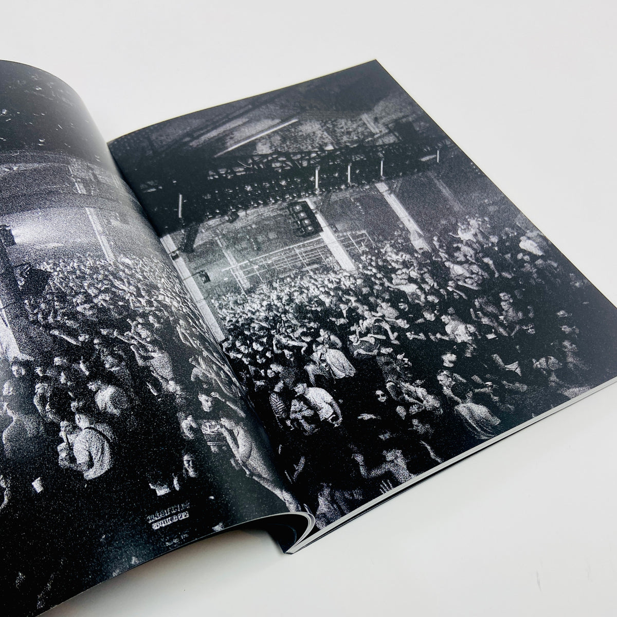 Arch 8 - Shaun Peckham