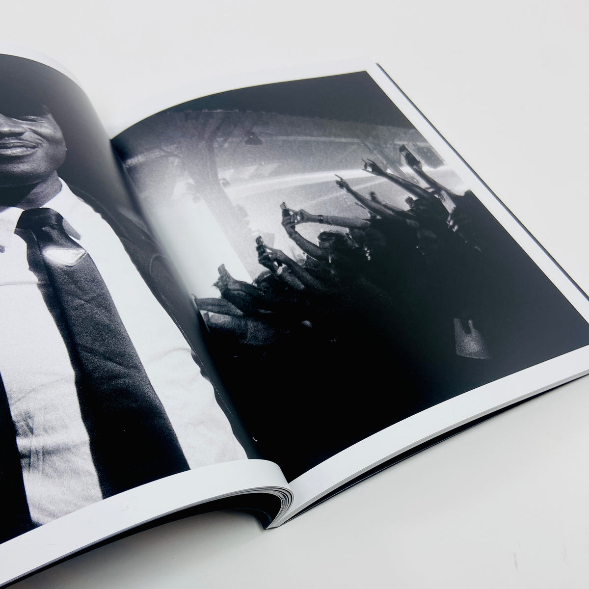 Arch 8 - Shaun Peckham