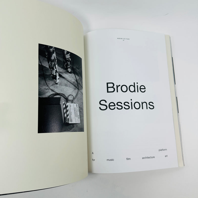 Ark Journal #13 - Obsessions