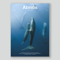 Atmos #11 - Micro/Macro - (Pre-Order)