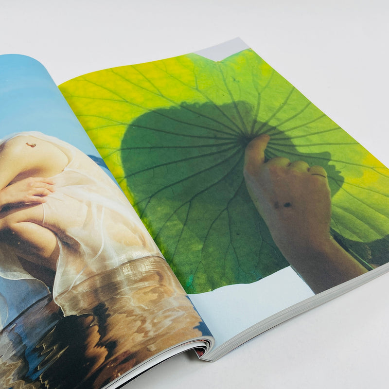 Atmos #12 - Pollinate