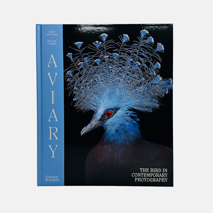 Aviary - The Bird in Contemporary Photography
