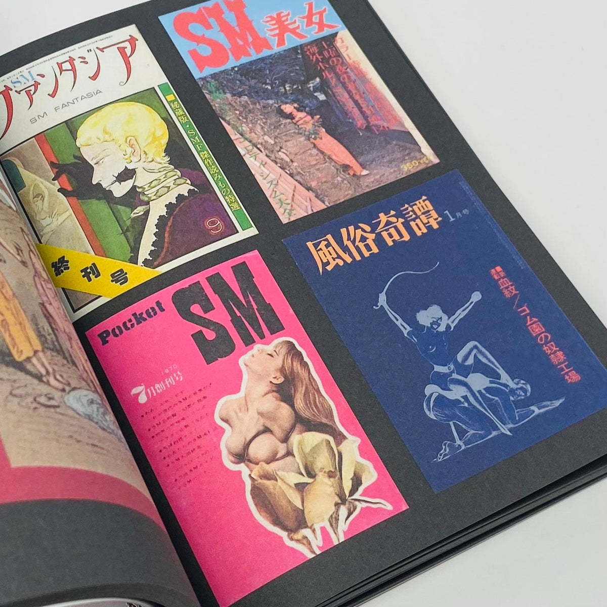 BDSM Magazines from Japan (1950-2010)