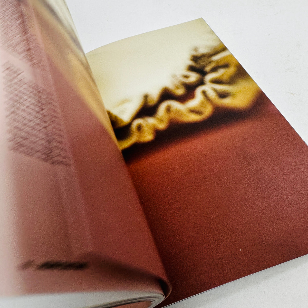 B Magazine  #61 - Acne Studios