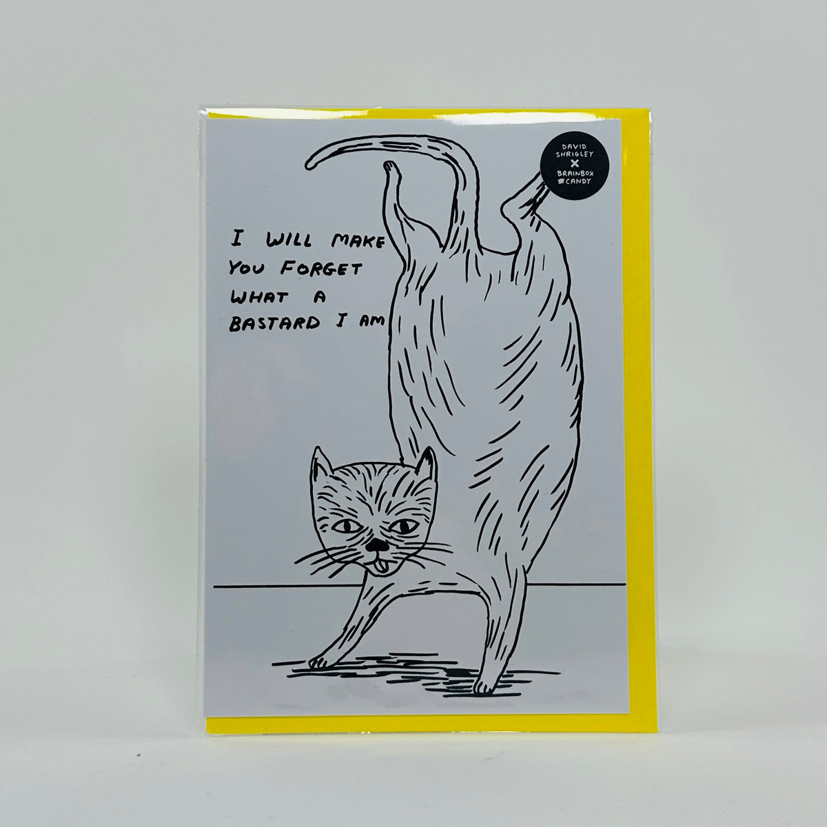 Bastard Cat - David Shrigley Card