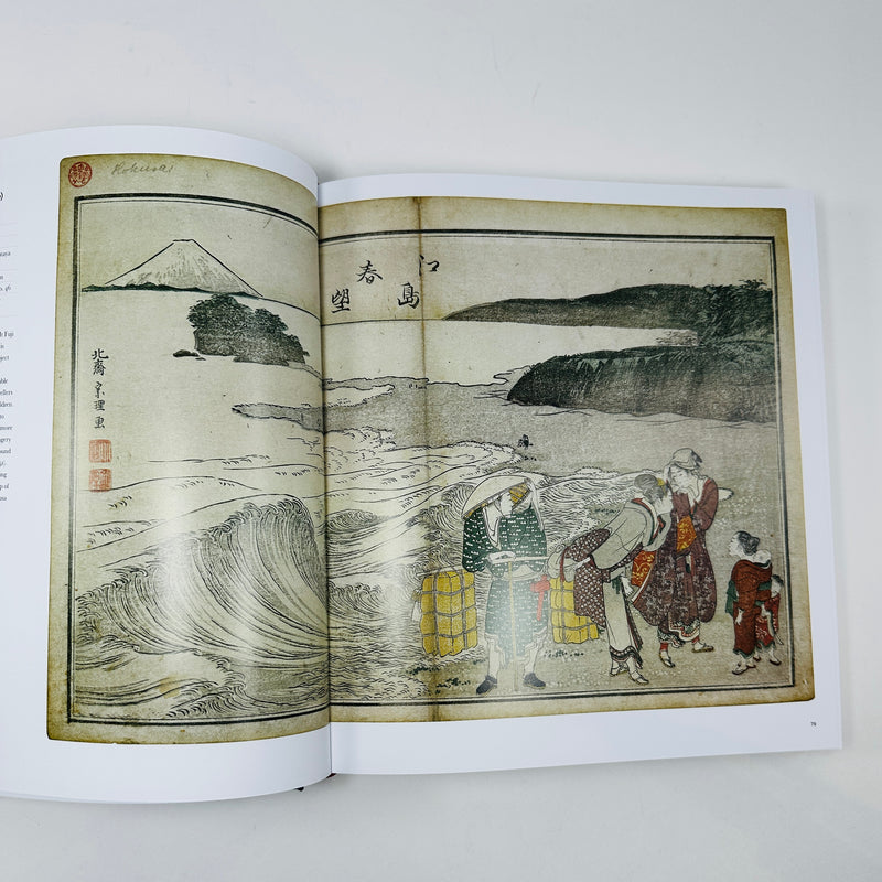 Beyond the Great Wave - Hokusai