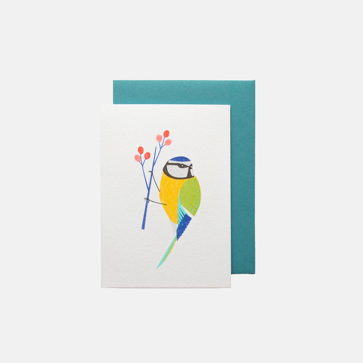 Blue Tit - Bobbie Print Card