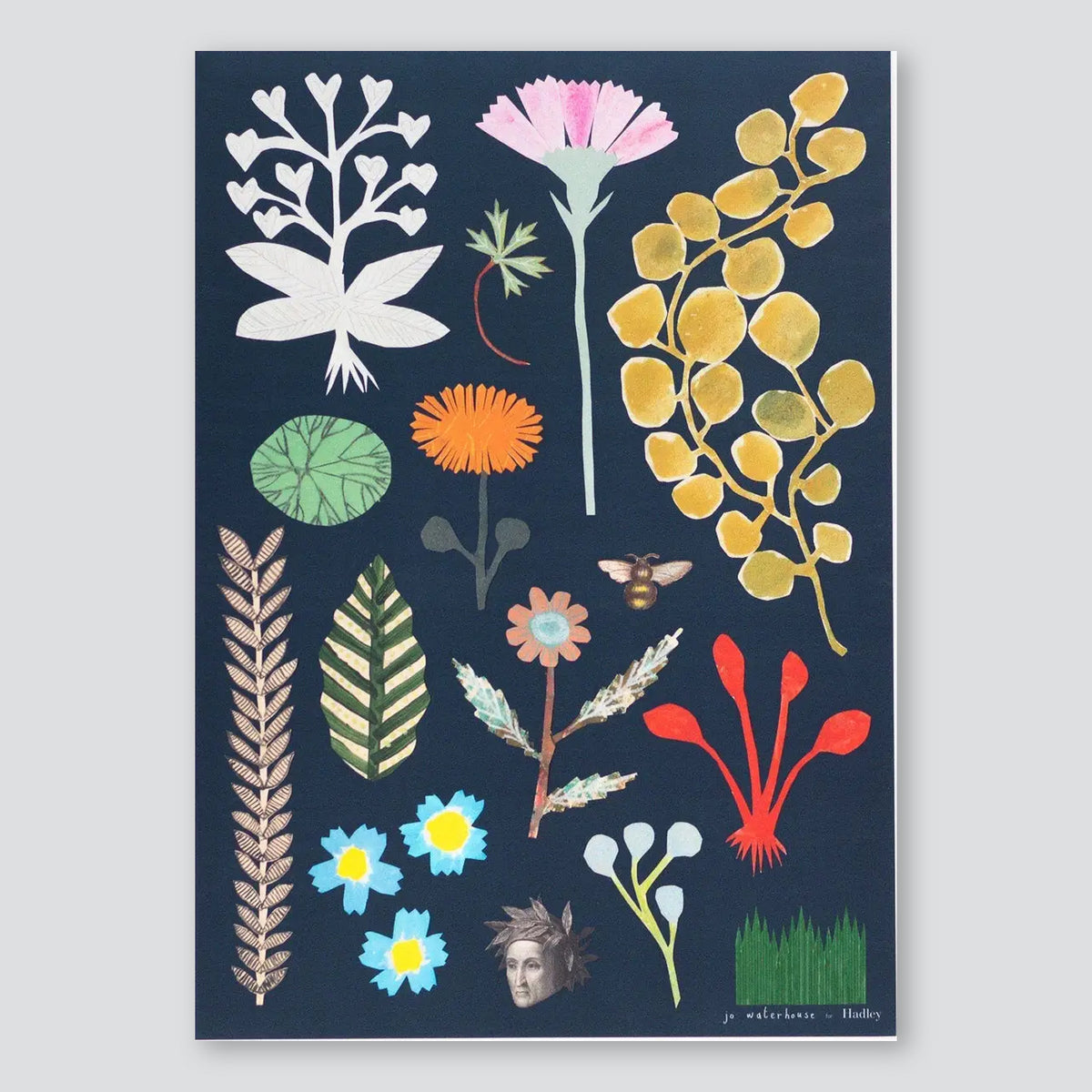 Botanical A3 Print - Hadley