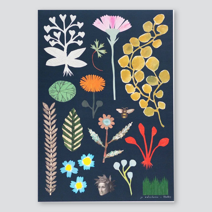 Botanical A3 Print - Hadley