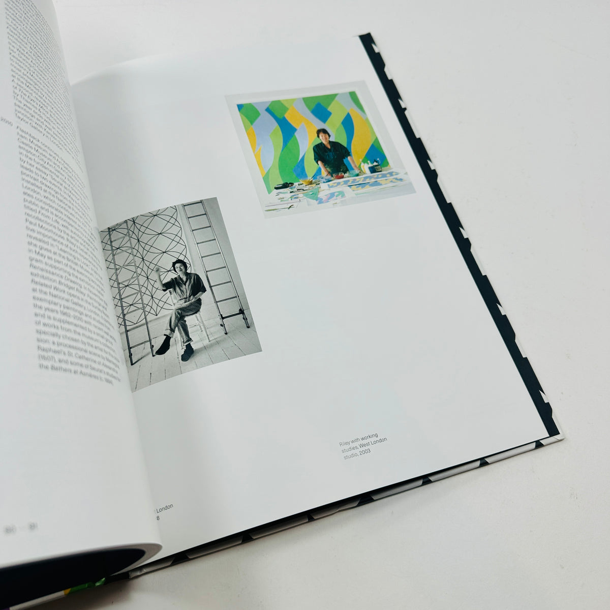 Bridget Riley - Works from 1981-2015
