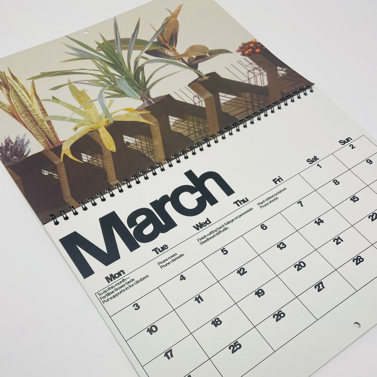 Brutalist Botany - 2025 Calendar