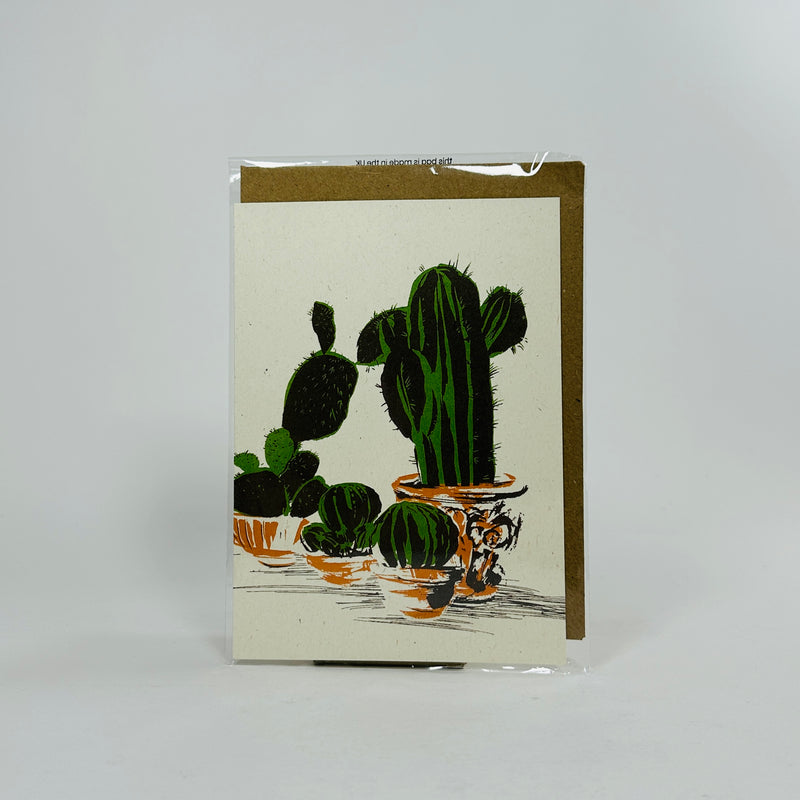 Cactus - Ben Rogers Card