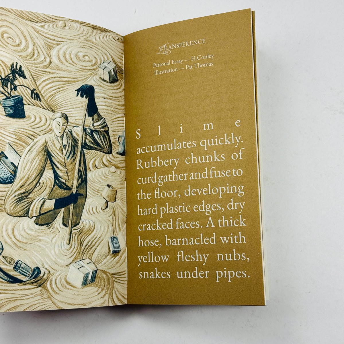 Cake Zine #6 - Spoiled Rotten